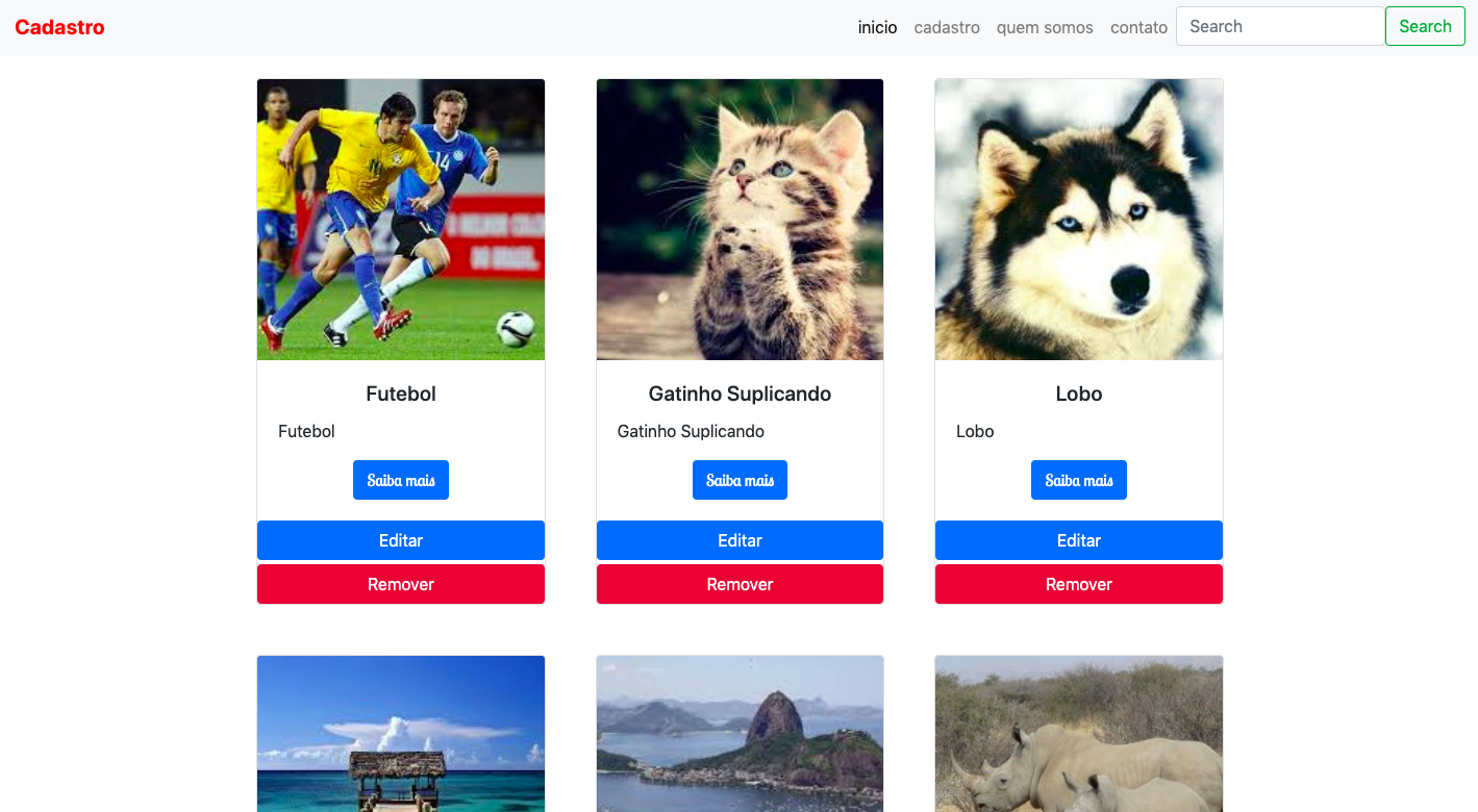 Imagem de uma aplicação Angular JS
